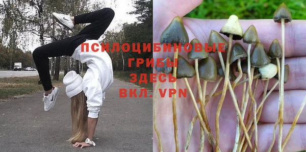 apvp Абдулино