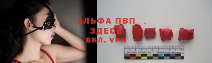 СК Алексин