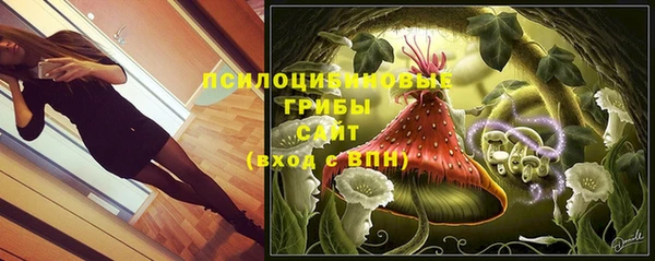 mix Абаза